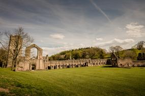 Fountains Abbey green grass