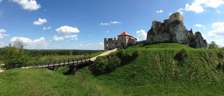 Castle ruins among the plants in Poland