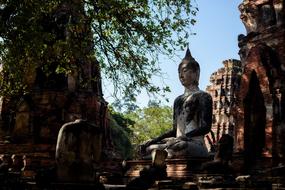 Thailad Asia Buddha statue