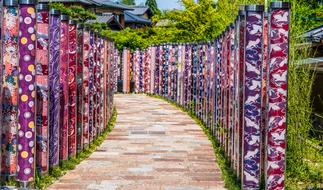 ravishing Japan Walkway