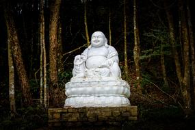 white buddha sculpture among derevan in Thailand