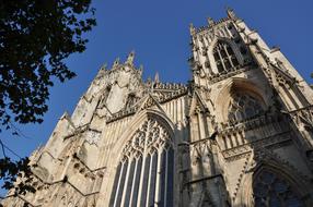 tree near York Minster