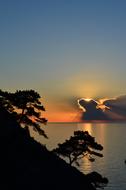 silhouette of trees on a hill against a sunset background