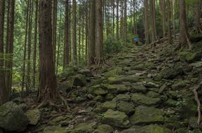 Japan Kumano Ancient