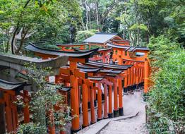 Kyoto Japan Fushimi Inari