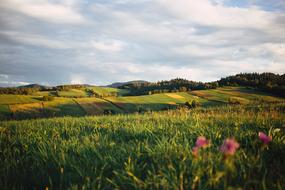 Nature Bieszczady Clouds and flowers