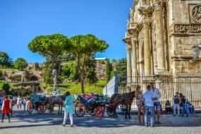 perfect Rome Arch Colosseum