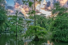 Green Garden and pond