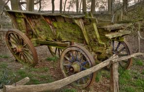 Cart Old Antique wood