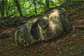 old Car Cemetery forest