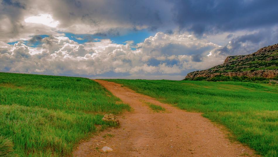 goodly Path Landscape