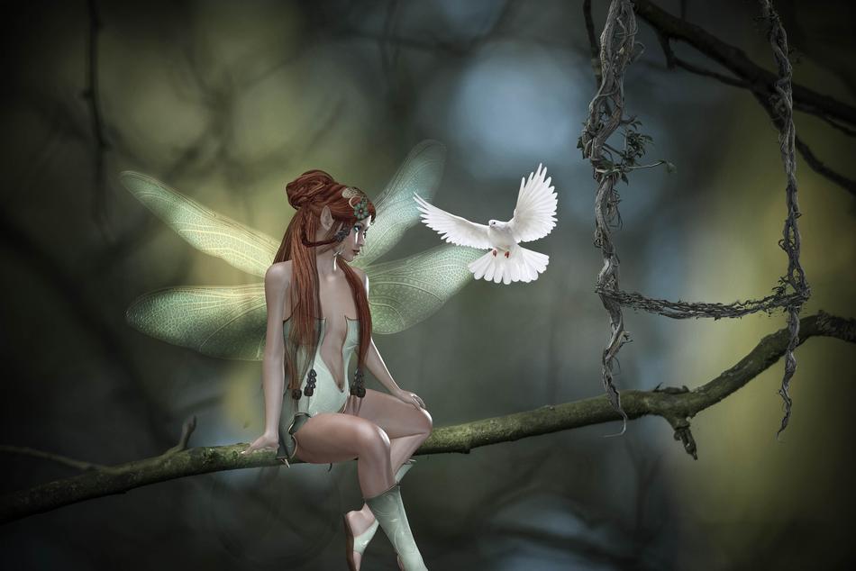 Girl elf on the branch with white dove