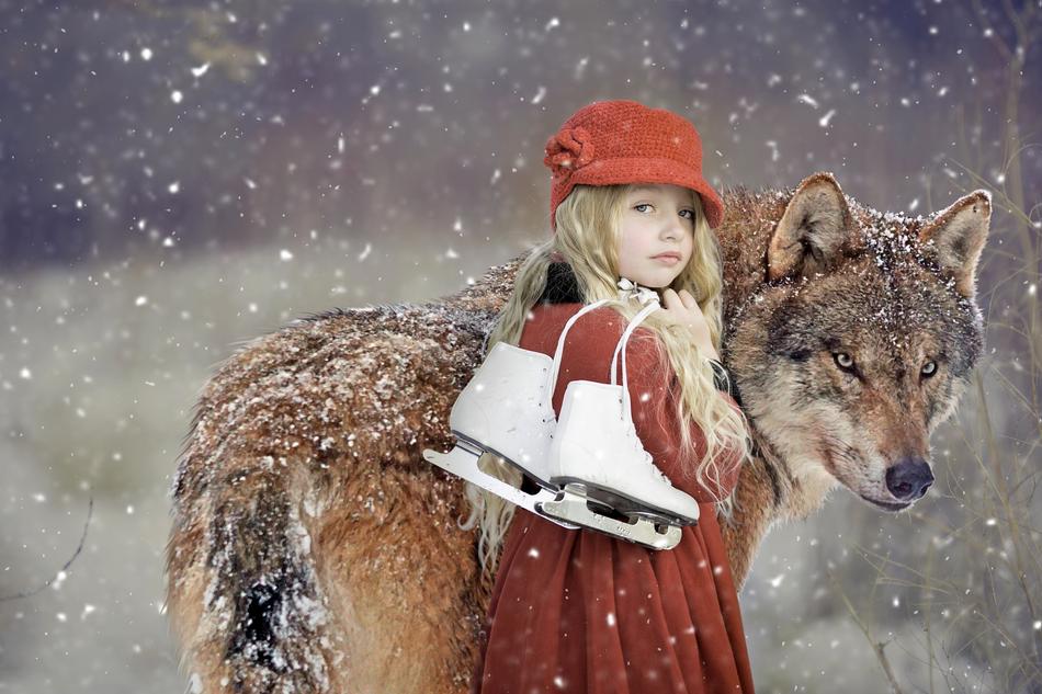 Wolf and Girl snow