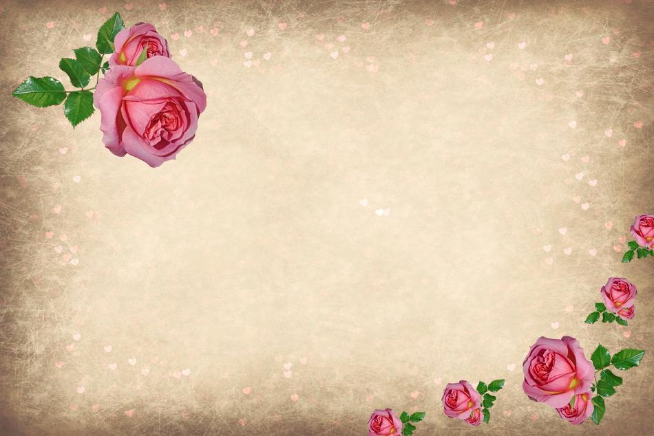 decorative message with the image of roses