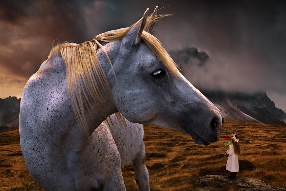 clipart of Horse and Child