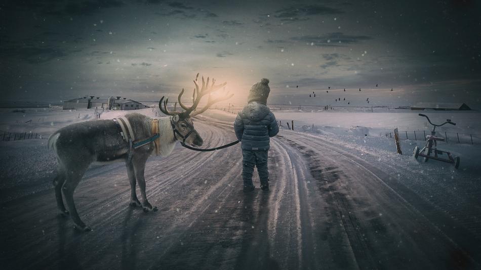 child with Reindeer on road at winder, collage