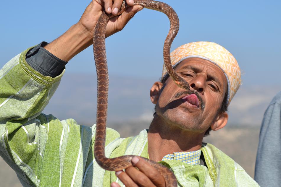 Snake Trainer in Morocco