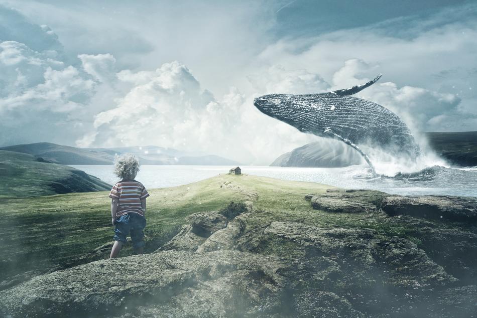 little boy on the rocks near the sea