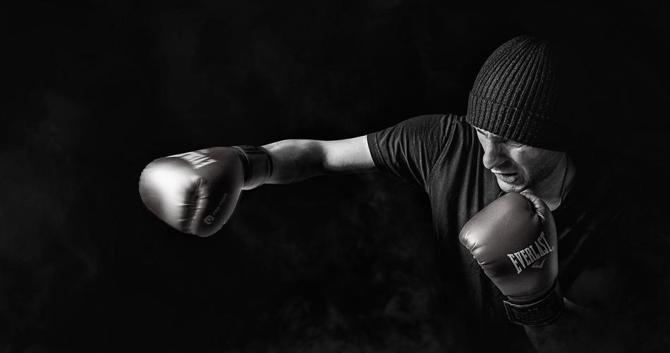 boxer in the dark