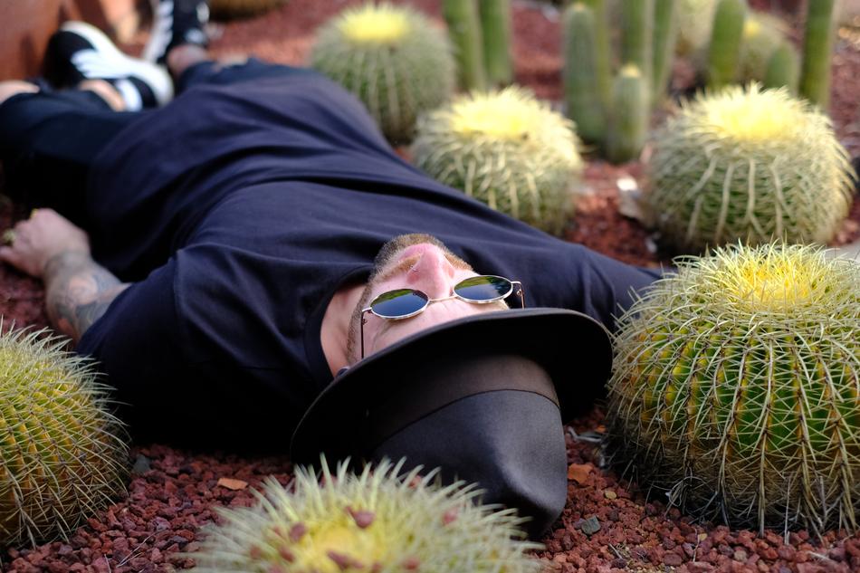 man among beautiful cacti