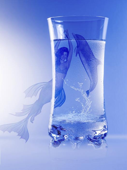 dolphin in glass