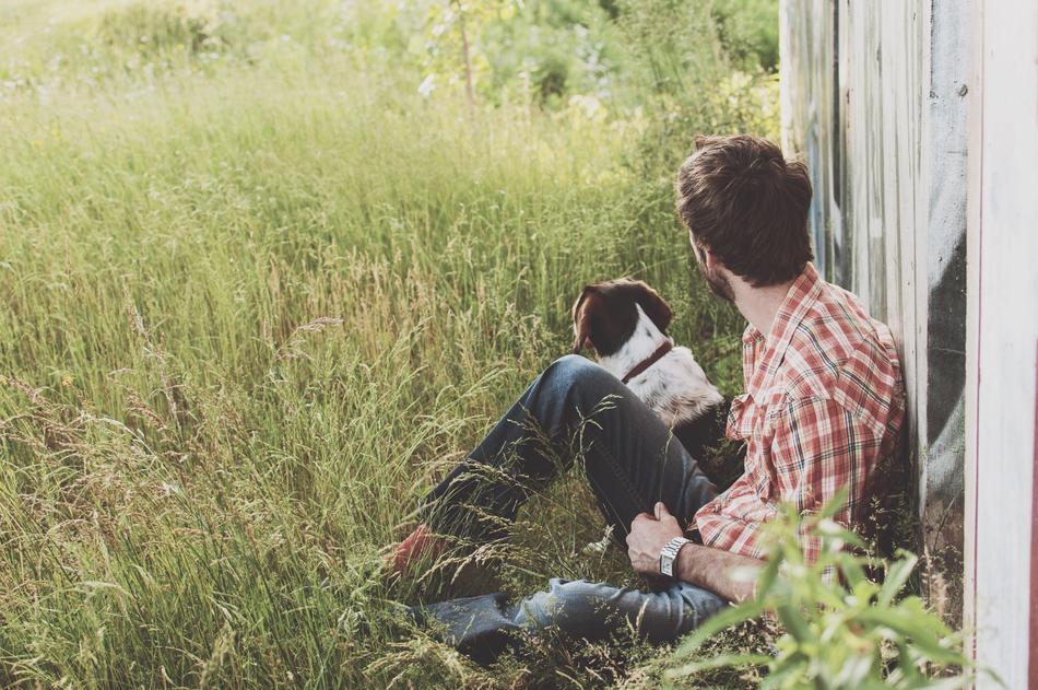 man and dog in countryside on the grass