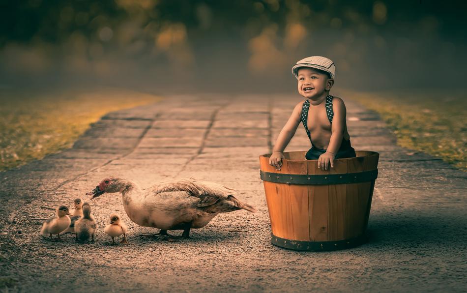 child in a wooden barrel and ducks
