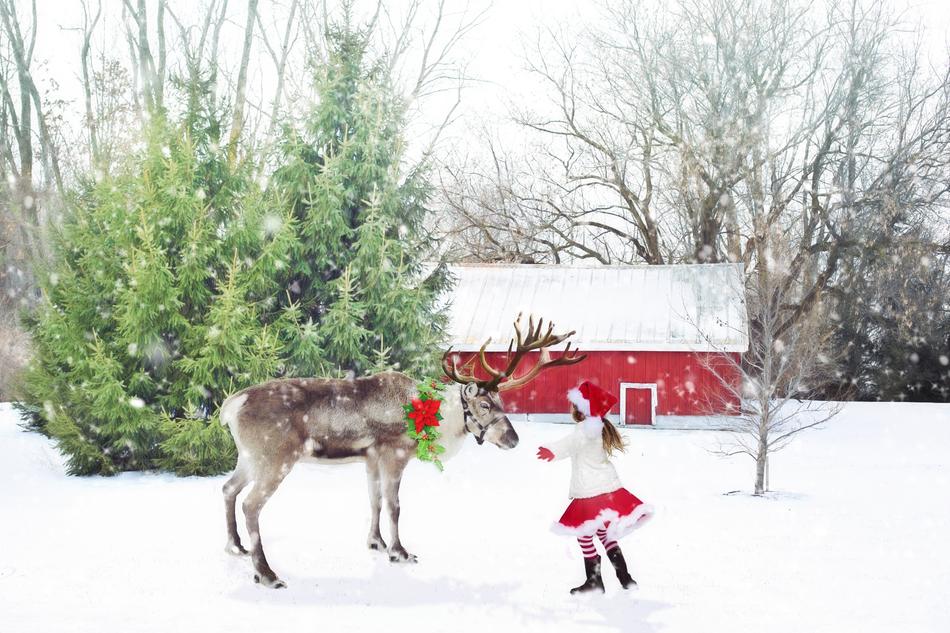 Christmas Scene Reindeer