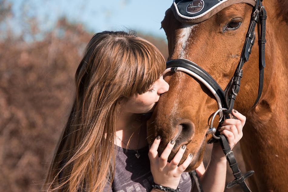 incredibly beautiful Horse and girl
