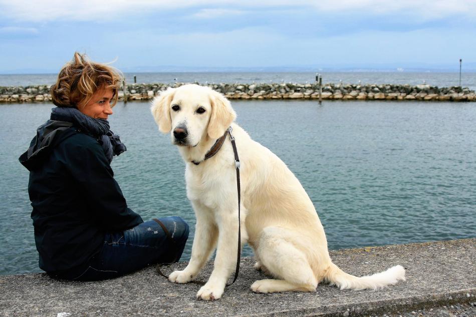 woman with golden retriever near water on cloudy day