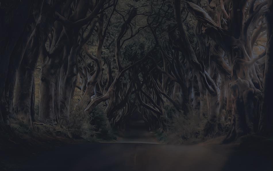 road beneath old trees at night, digital art