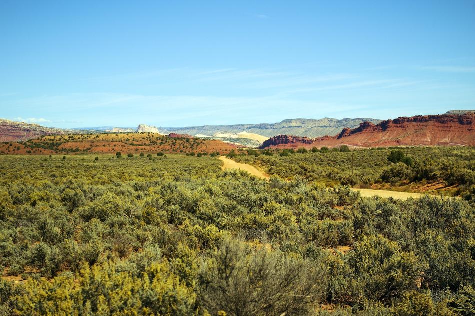 panoramic view of the desert on a sunny day