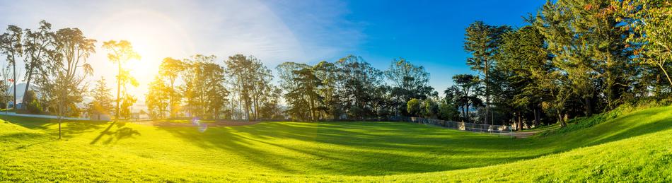 panorama vikew of San Francisco California