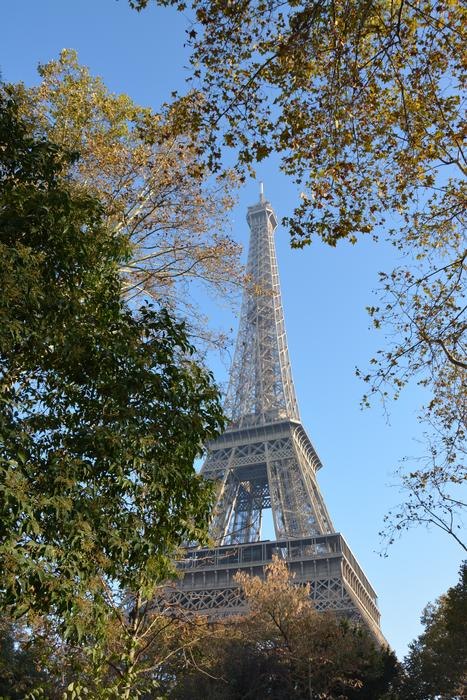 photo of the Eiffel Tower in the French capital