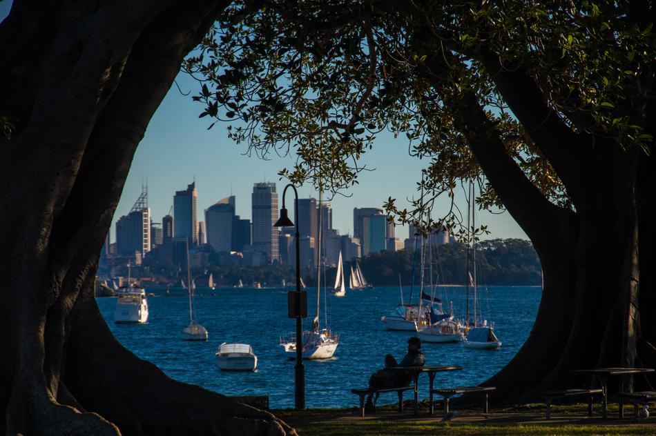 view from the park on the urban architecture of Sydney