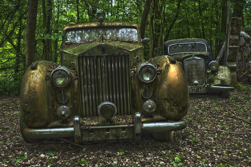 forest Car Cemetery