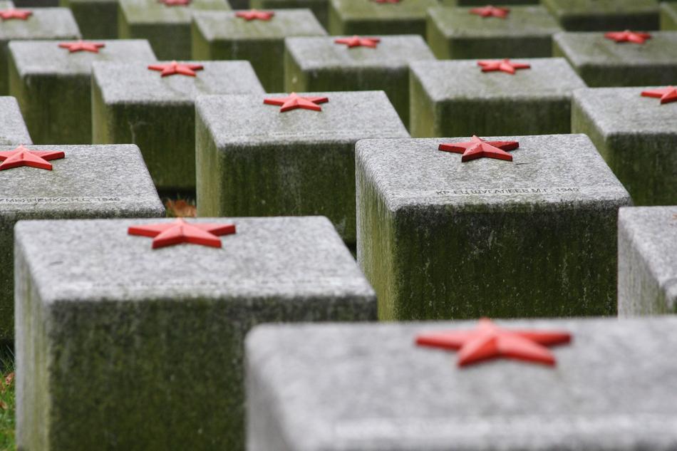 Beautiful, red stars on the stones with green moss