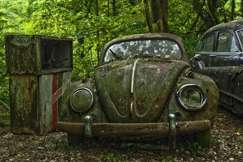 Car Cemetery at summer