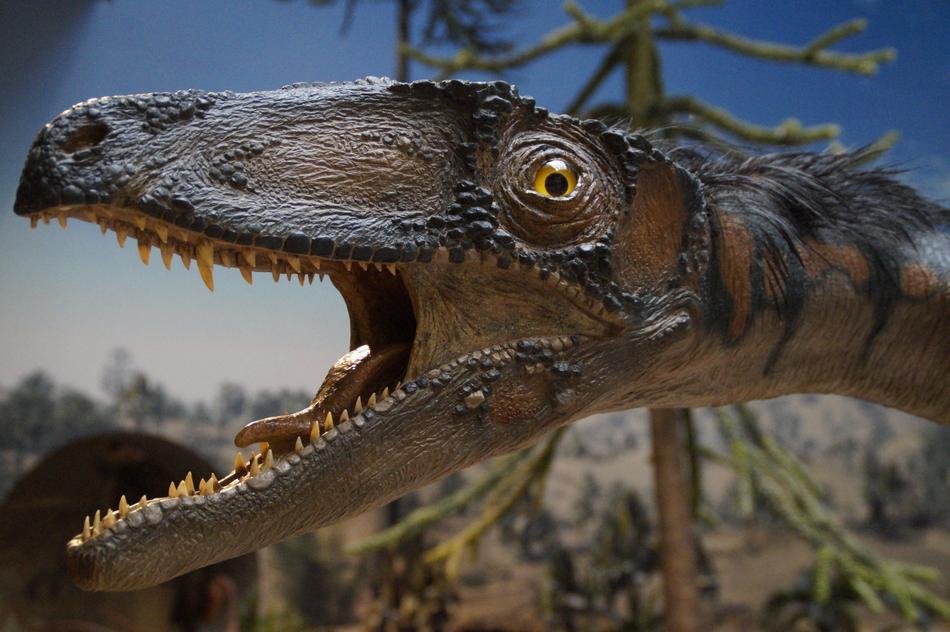 Prehistoric Times Urtier
