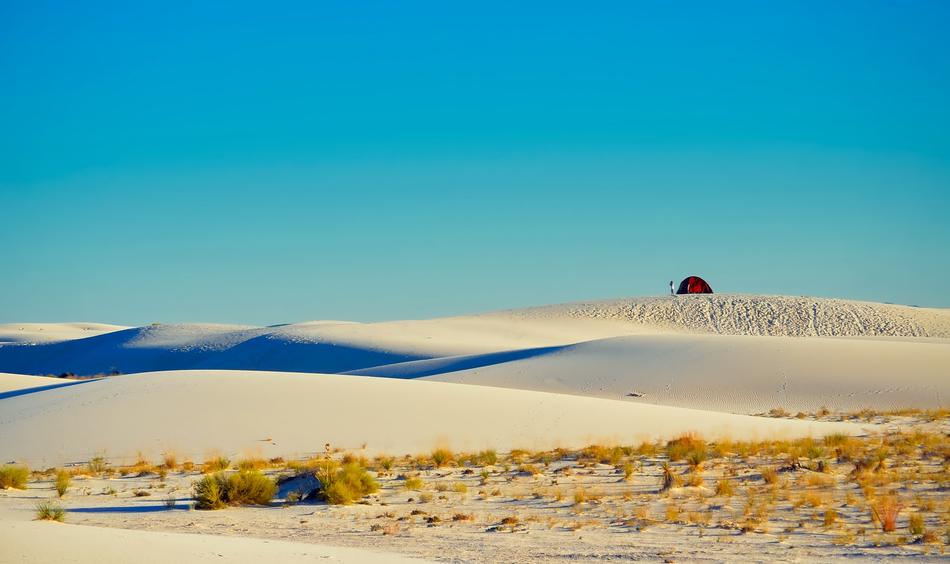 Beautiful White Sands National Monument, with the colorful plants in New Mexico, at colorful and beautiful sky on background