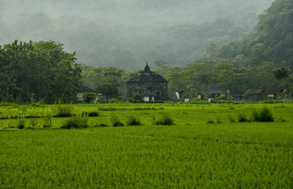 Nature Banyunibo Temple