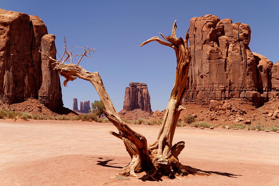 amazing Wild West