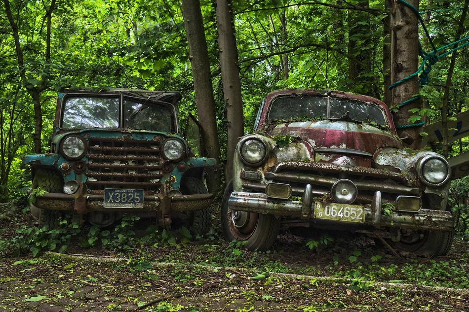 Car Cemetery forest