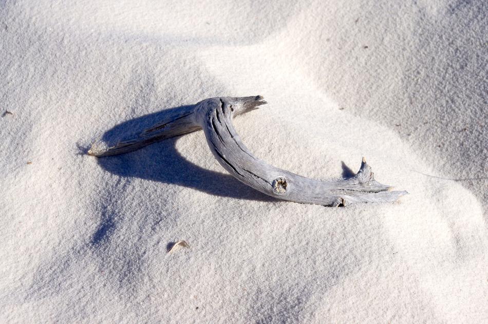 White Sand And Deadwood