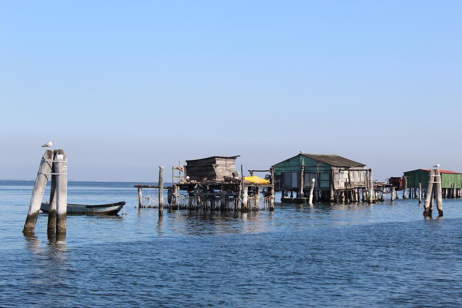 Ailing Houses in water