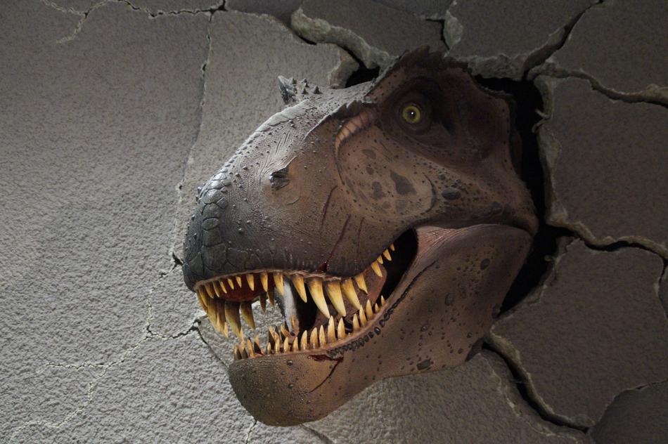 Theranosaurus head at the Museum of Natural History