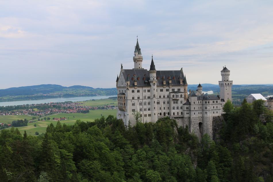 Castle Neuschwanstein and forest