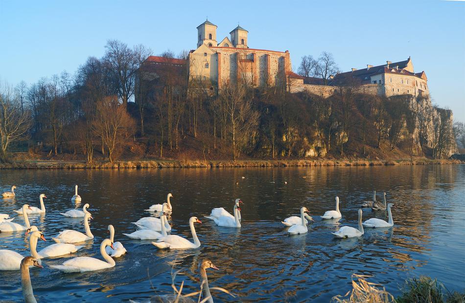 KrakÃ³w Tyniec Monastery ann river birds