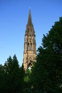 Church Tower forest