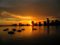 Dock Skyline